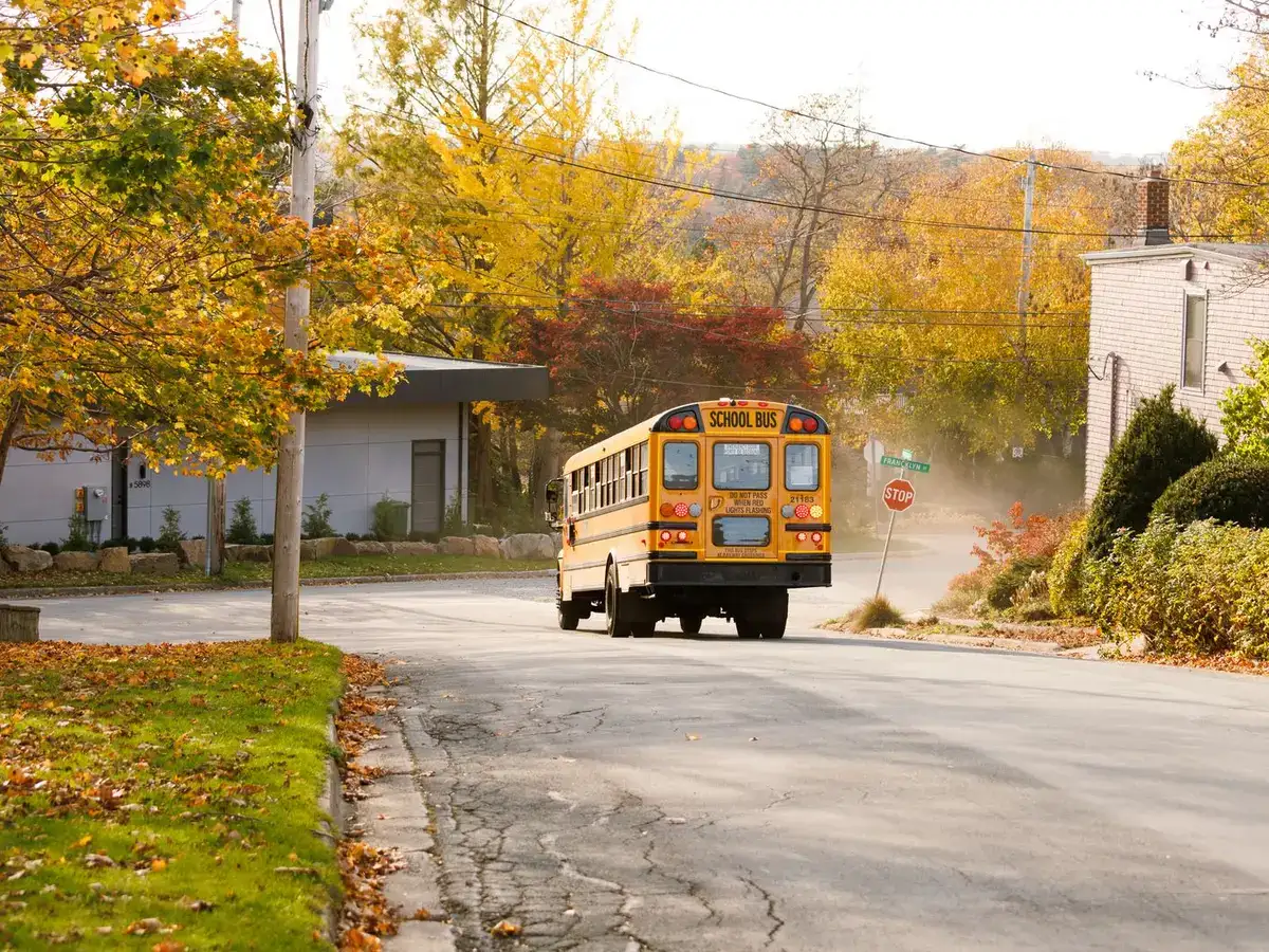 School bus on a city road