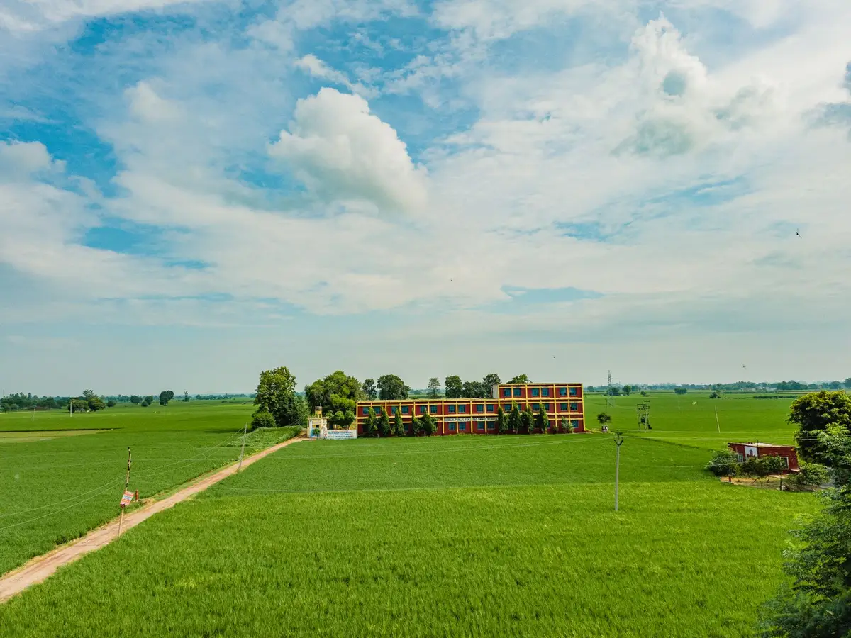 Road through farm fields in rural India